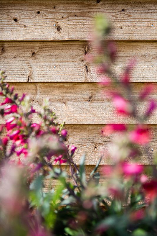 Aanbouw tuinderswoning